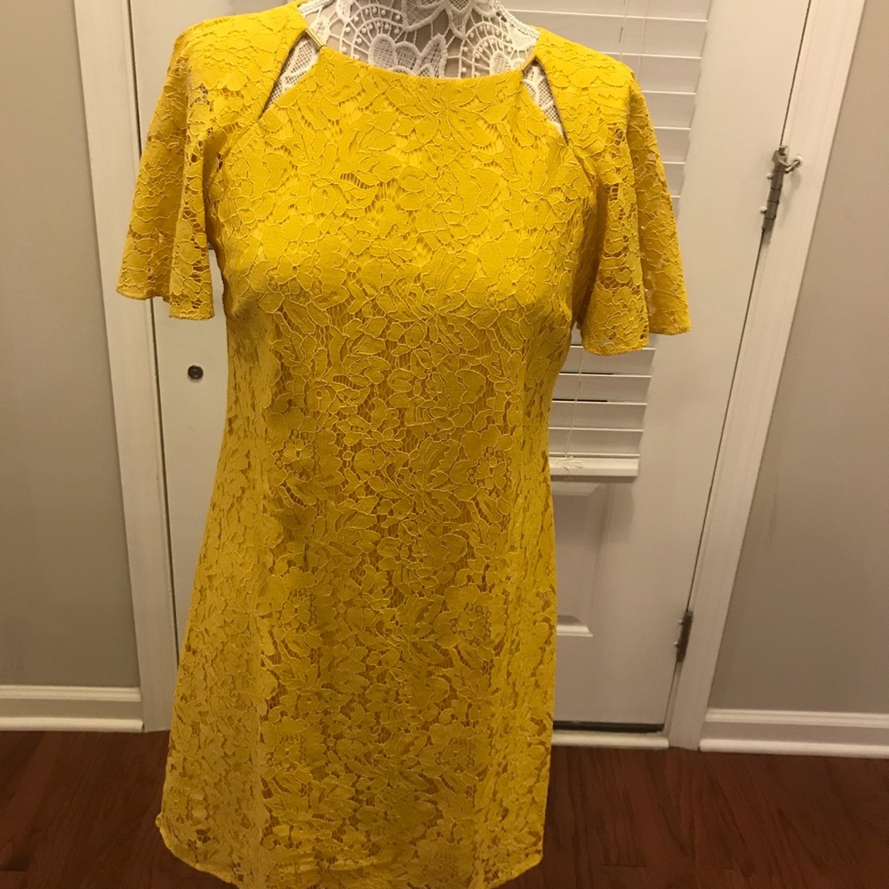 Yellow Lace Dress with Short Flowing Sleeves